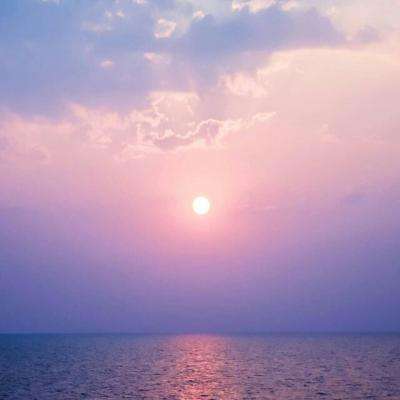 万博手机版max网页版