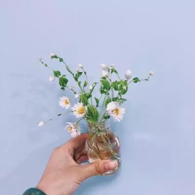 pg棋牌软件平台手机app下载